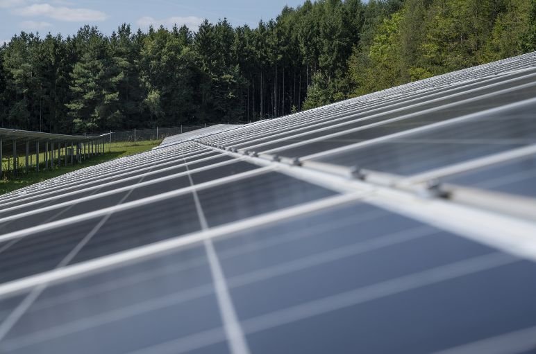 Solar plants